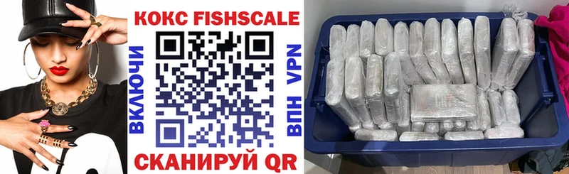 Купить закладки  Уфа  Cocaine Fish Scale 