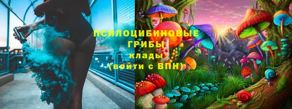 a pvp Алзамай